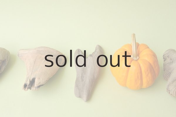 画像3: 変形流木セット (3)