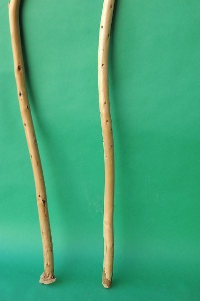 画像2: 棒流木セット (2)