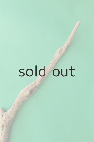 画像5: 幹流木 (5)