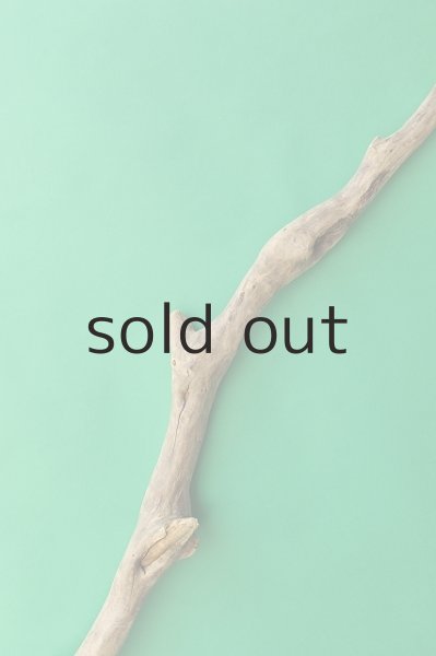 画像4: 幹流木 (4)