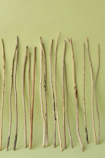 画像3: 棒流木セット (3)