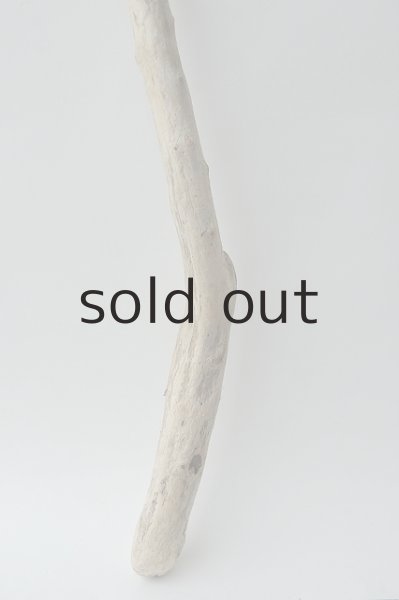 画像2: 枝流木 (2)