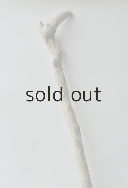 画像3: 枝流木 (3)