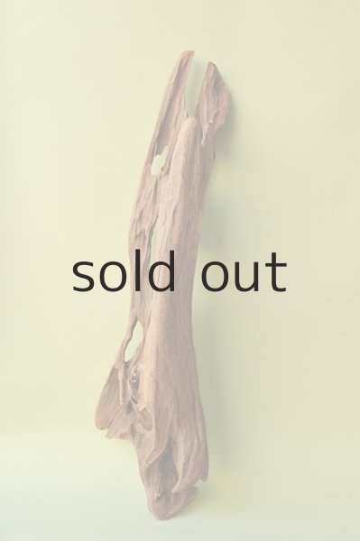 画像4: 大型 変形 (4)