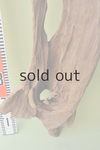 画像5: 大型 変形 (5)