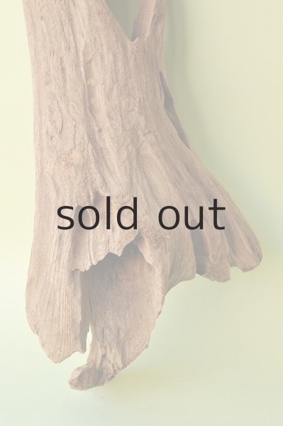 画像2: 大型 変形 (2)