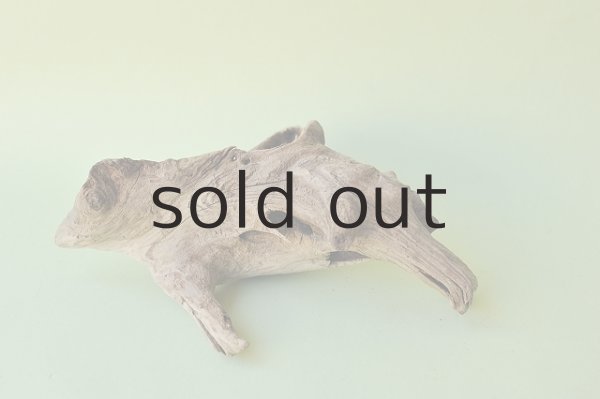 画像4: 変形流木セット (4)