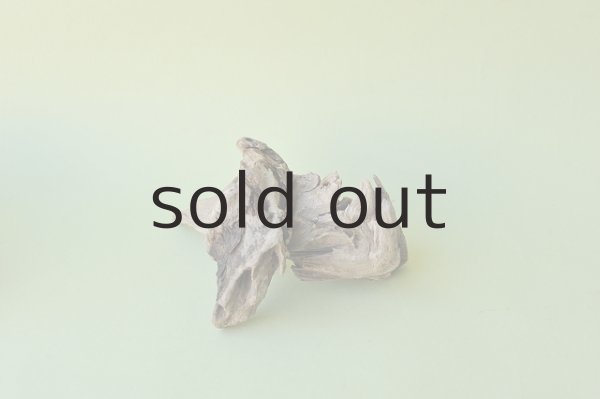 画像5: 変形流木セット (5)