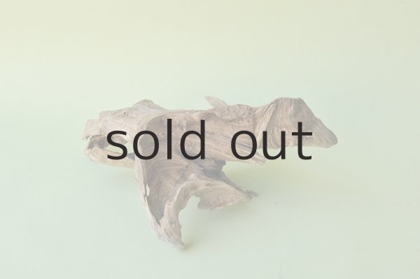 画像3: 変形流木セット (3)