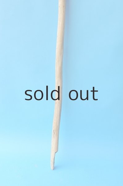 画像2: 棒流木 (2)