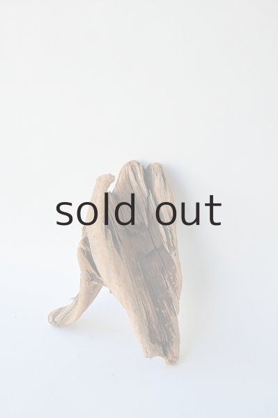 画像2: 変形流木 (2)