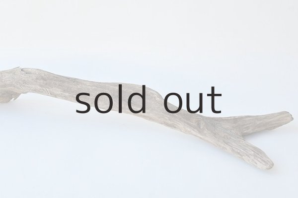 画像2: 変形流木 (2)