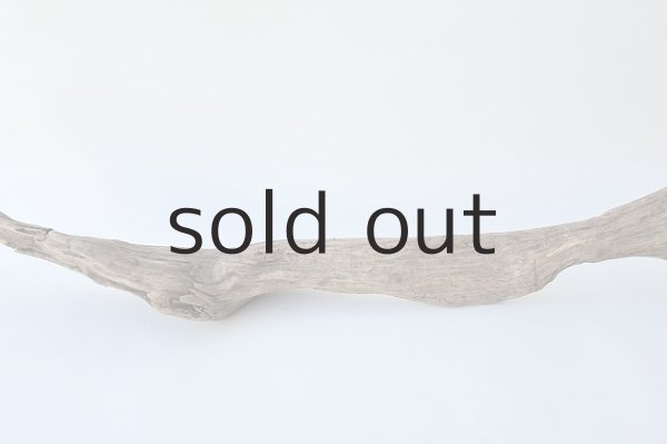 画像3: 変形流木 (3)