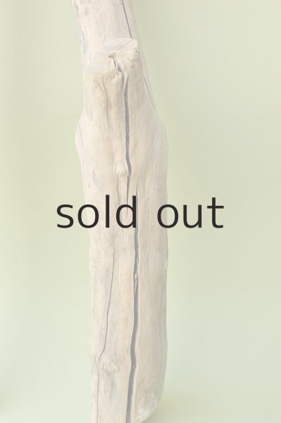 画像4: 幹流木 (4)