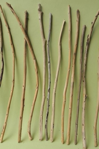 画像3: 棒流木セット (3)