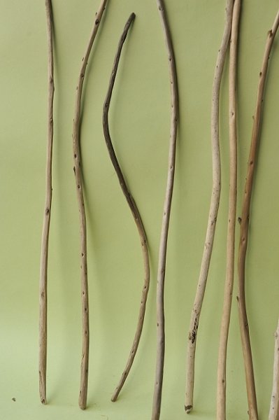 画像2: 棒流木セット (2)