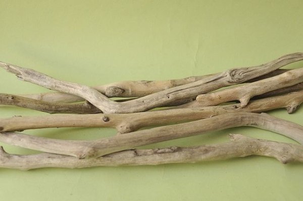画像2: 小枝流木セット (2)