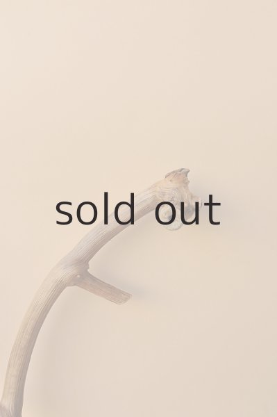 画像3: 枝流木 (3)