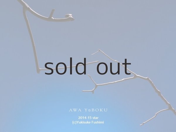 画像4: 枝流木 (4)