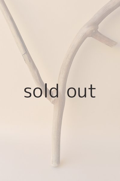 画像2: 枝流木 (2)