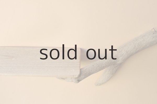 画像4: シェルフ (4)