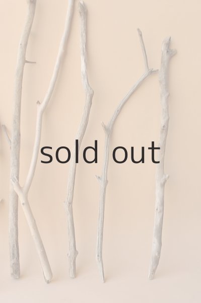 画像3: 小枝流木セット (3)