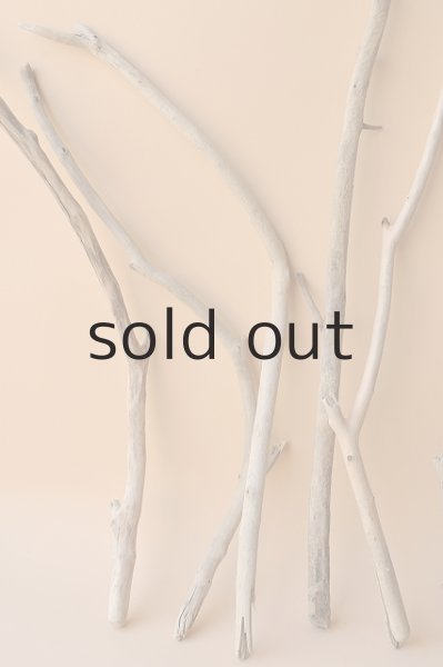 画像2: 小枝流木セット (2)