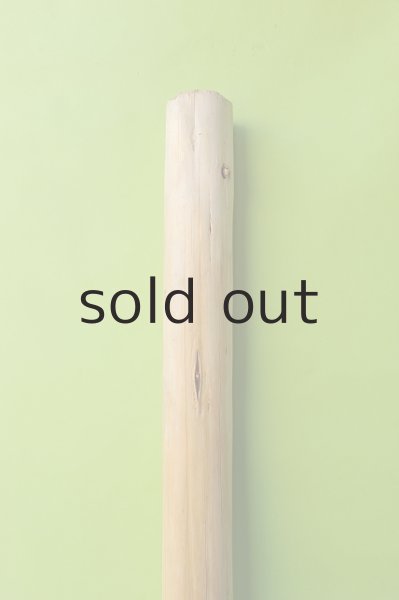 画像3: 幹流木・丸太 (3)