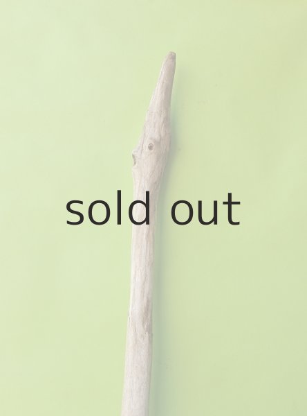 画像4: 幹流木 (4)