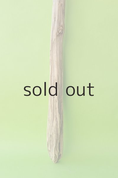 画像2: 幹流木 (2)