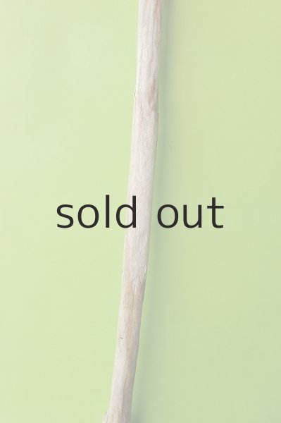 画像3: 幹流木 (3)