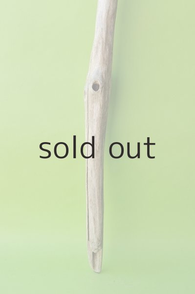 画像2: 幹流木 (2)