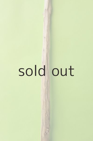 画像3: 幹流木 (3)