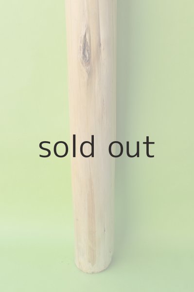 画像2: 幹流木・丸太 (2)