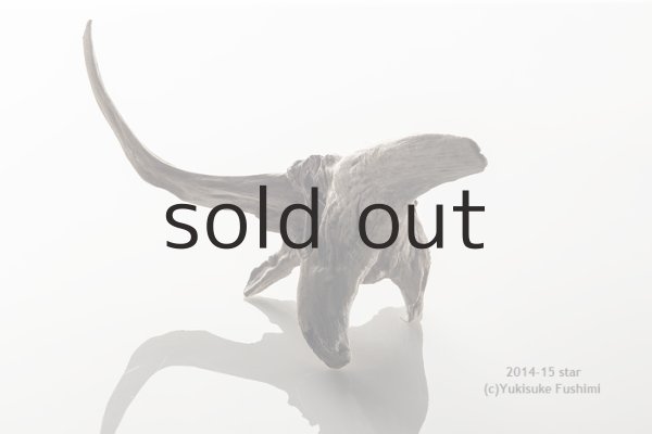 画像5: 流木根 (5)