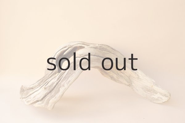 画像3: 変形流木 (3)