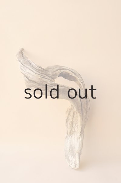 画像2: 変形流木 (2)