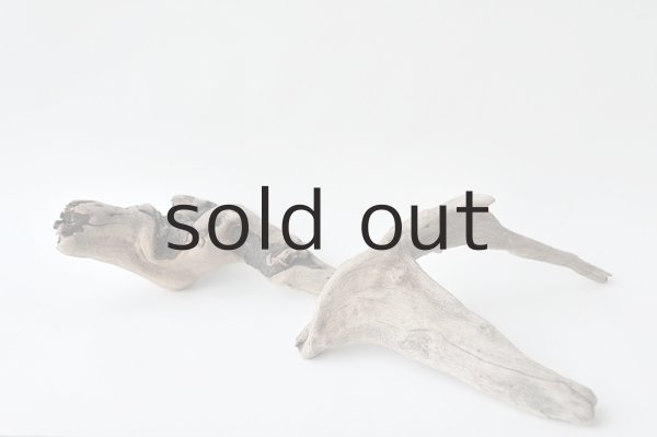 画像2: 流木根セット (2)