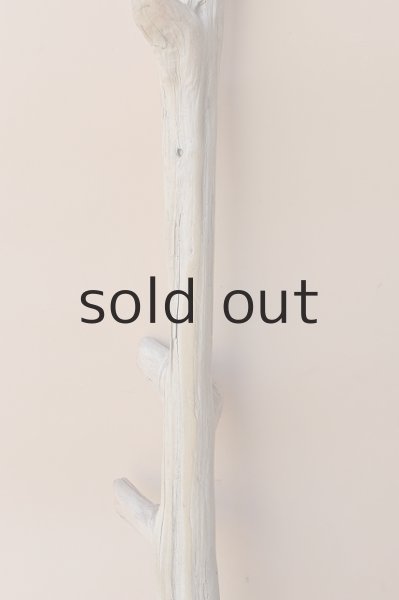 画像3: 幹流木 (3)