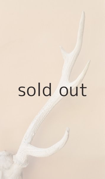 画像4: デコール用二ホンジカの角（ヘッド付） (4)