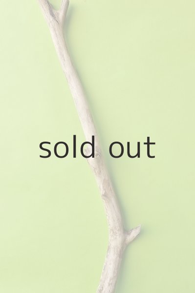 画像3: 幹流木 (3)