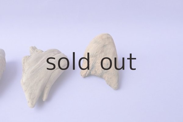 画像4: 変形流木セット (4)