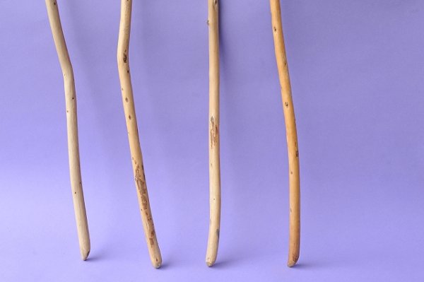 画像2: 棒流木セット (2)