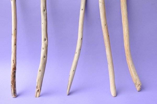 画像2: 棒流木セット (2)