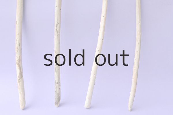 画像2: 棒流木セット (2)