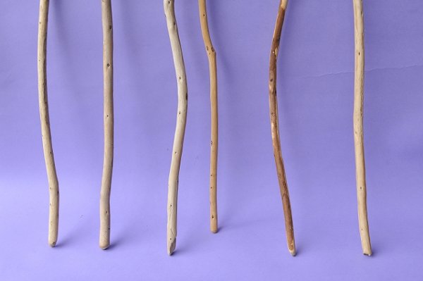 画像2: 棒流木セット (2)