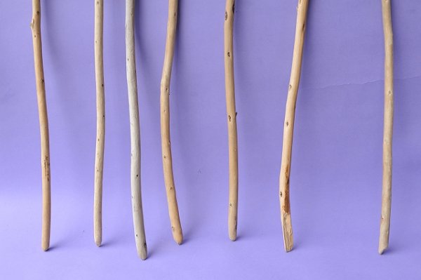 画像2: 棒流木セット (2)