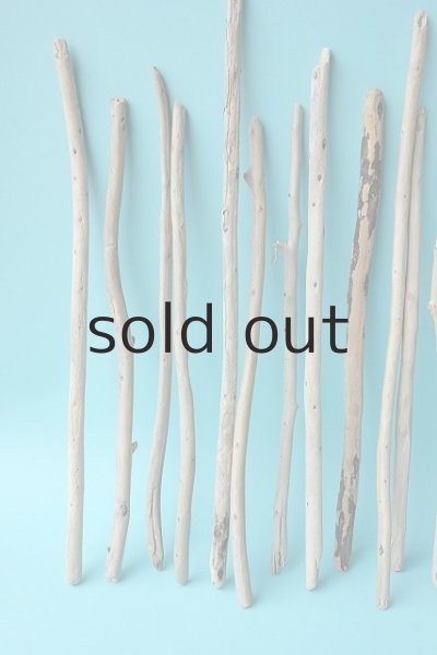 画像2: 棒流木セット (2)