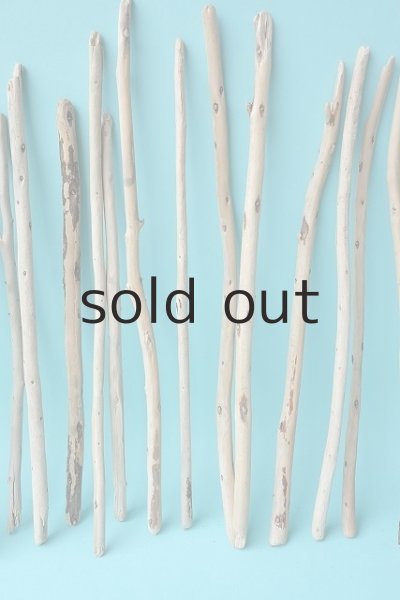 画像3: 棒流木セット (3)