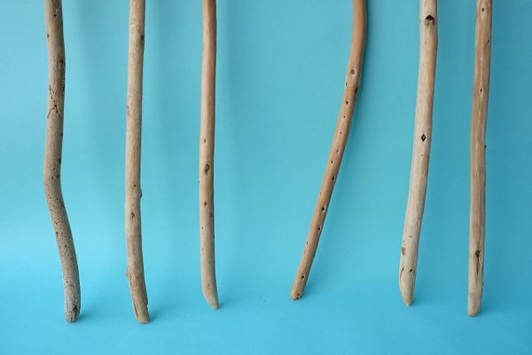 画像2: 棒流木セット (2)